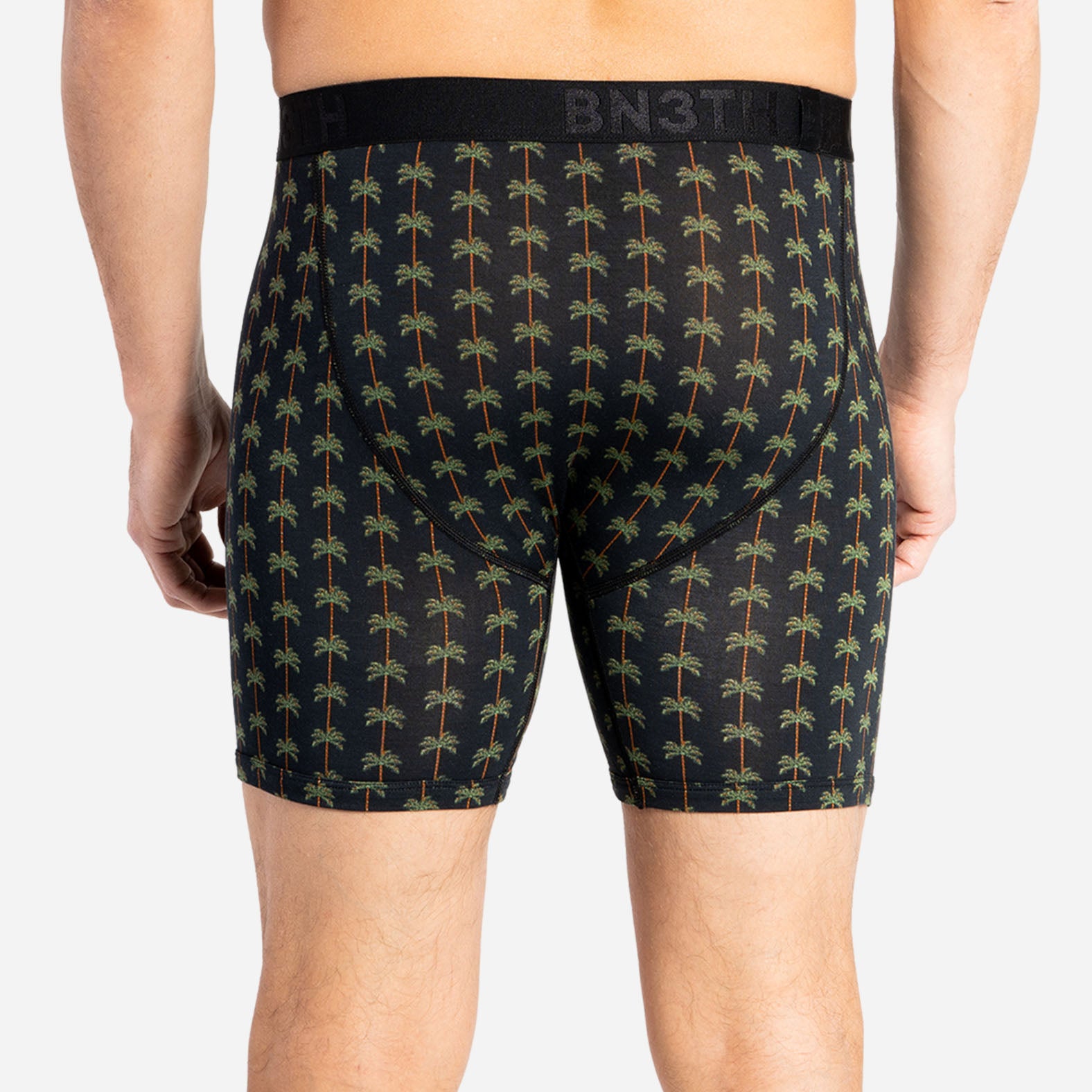 CLASSIC BOXER BRIEF: PALM STRIPE BLACK