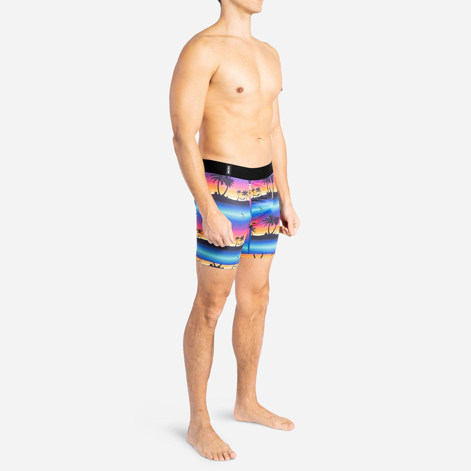 ENTOURAGE BOXER BRIEF: HORIZON PLAYA MULTI