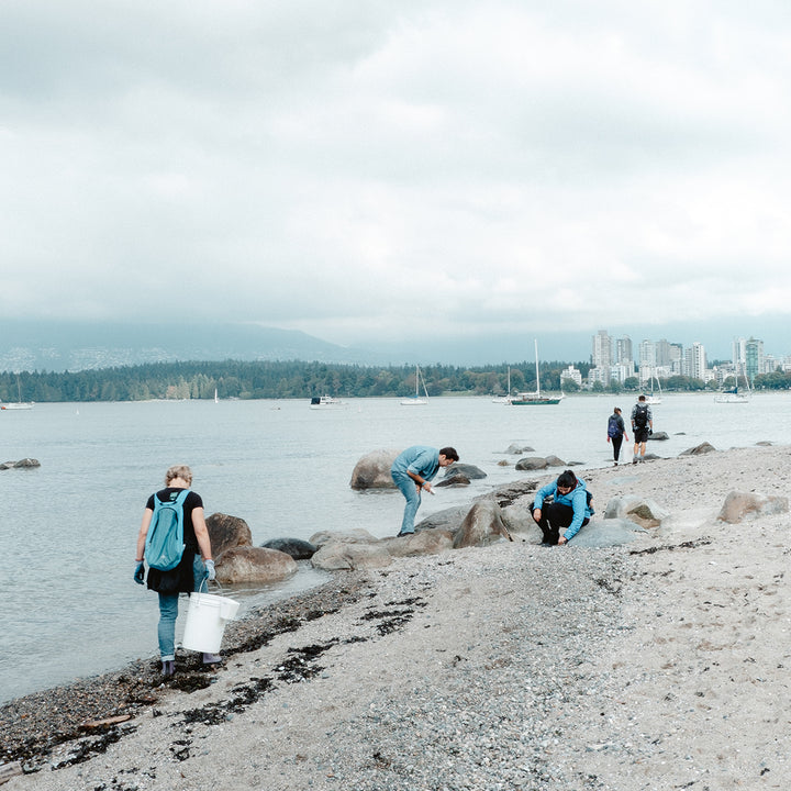 Easy Ways to Support International Coastal Cleanup Day