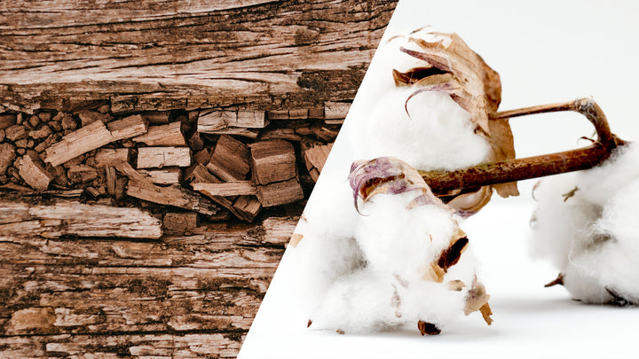 TENCEL™ Modal vs Conventional Cotton