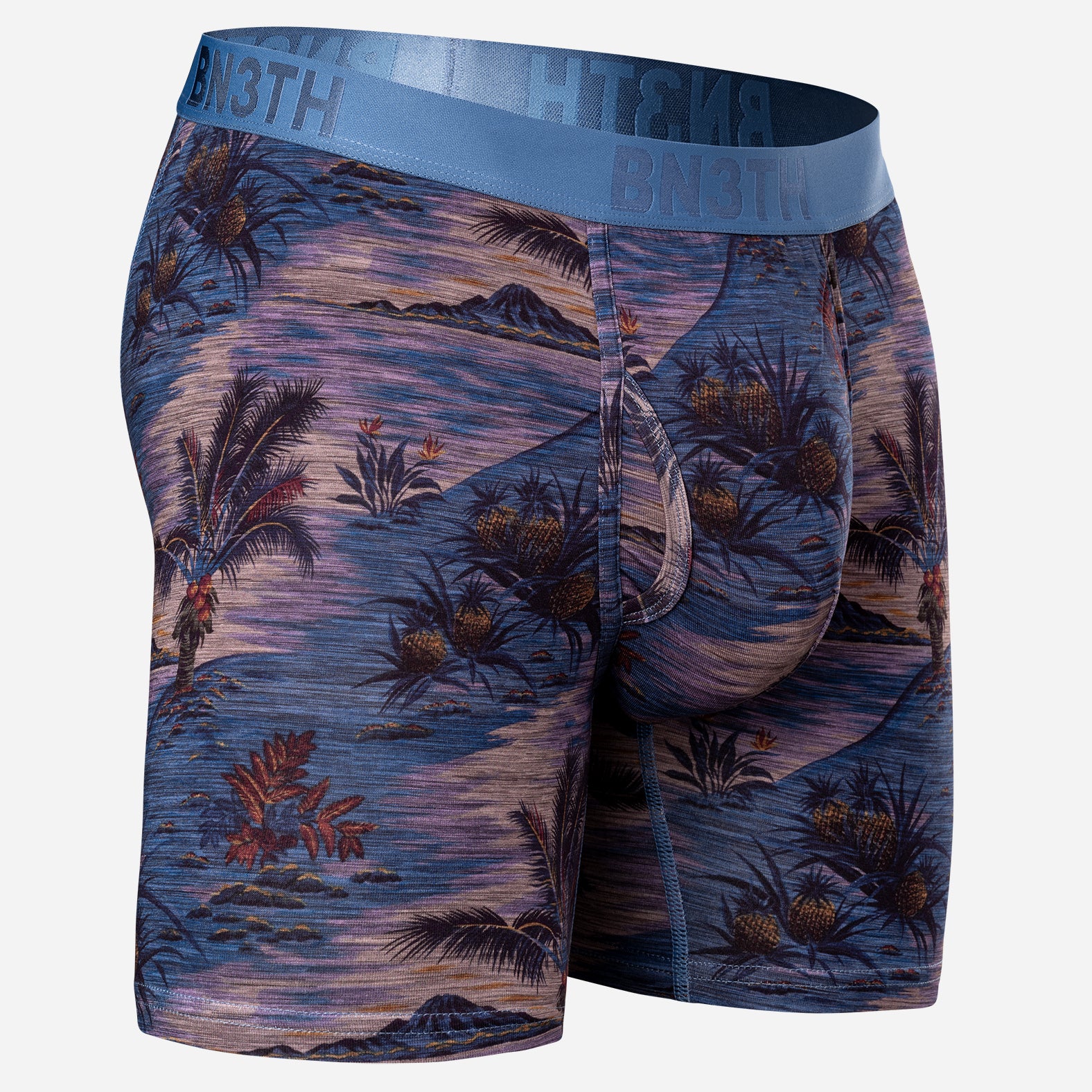 Classic Icon Boxer Brief With Fly: Vintage Tropics Heather Fog | BN3TH Underwear