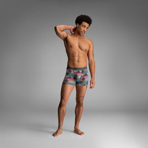 Classic Trunk With Fly Palm Tree Horizon - Heather from BN3TH Underwear