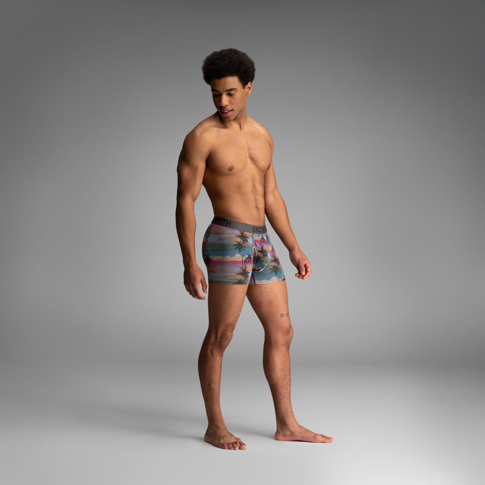 Classic Trunk With Fly Palm Tree Horizon - Heather from BN3TH Underwear