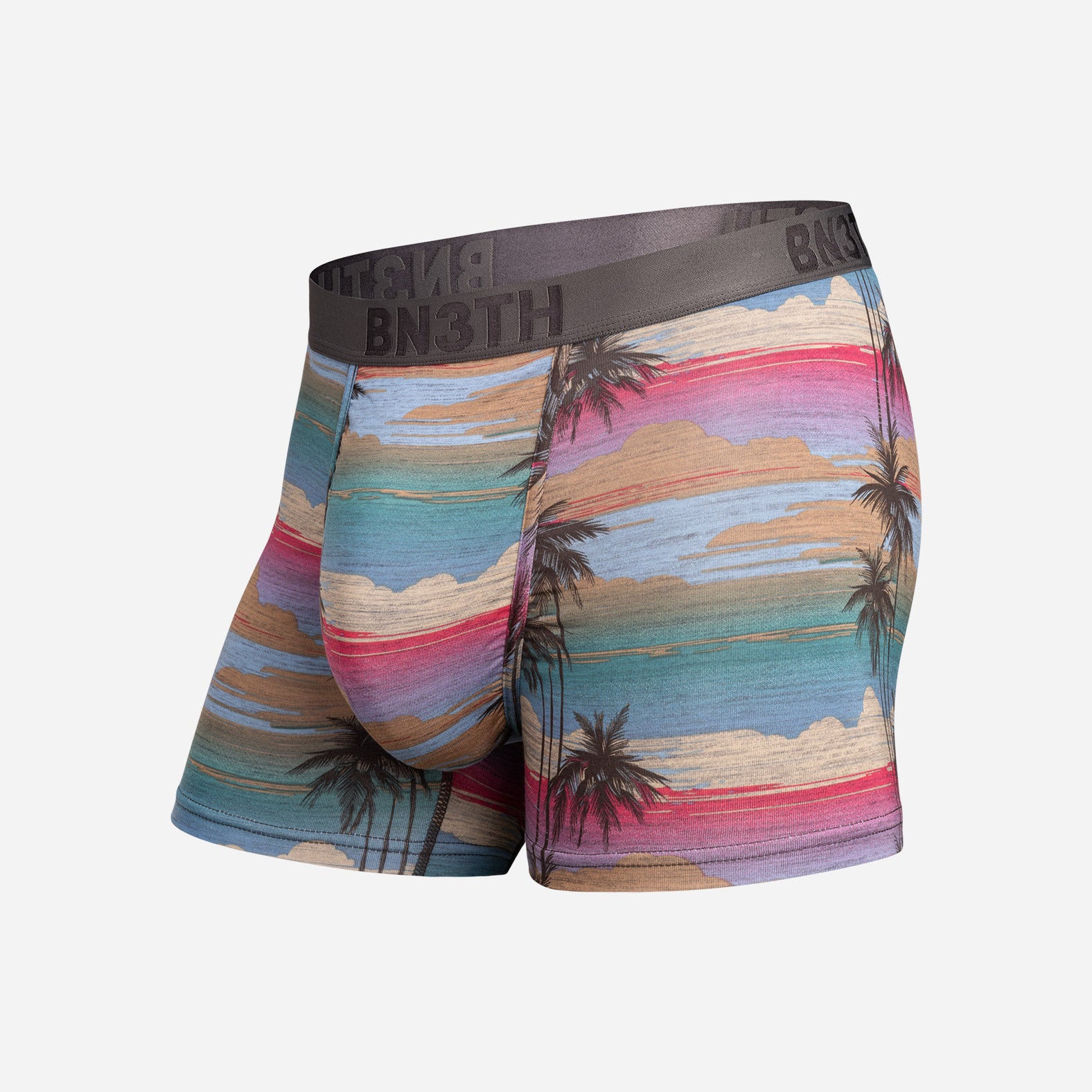 Classic Boxer Brief With Fly Palm Tree Horizon - Heather from BN3TH Underwear