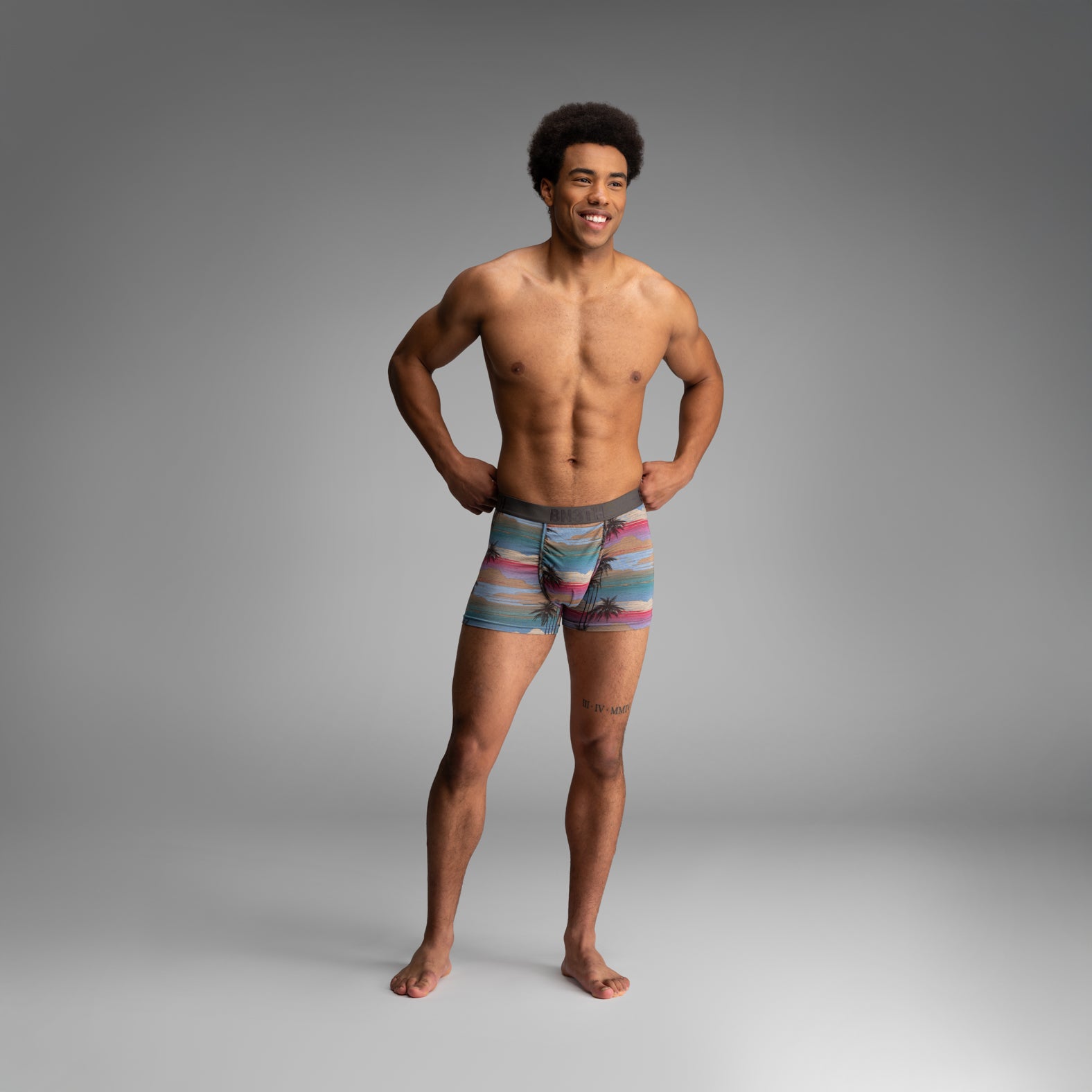 Classic Boxer Brief With Fly Palm Tree Horizon - Heather from BN3TH Underwear