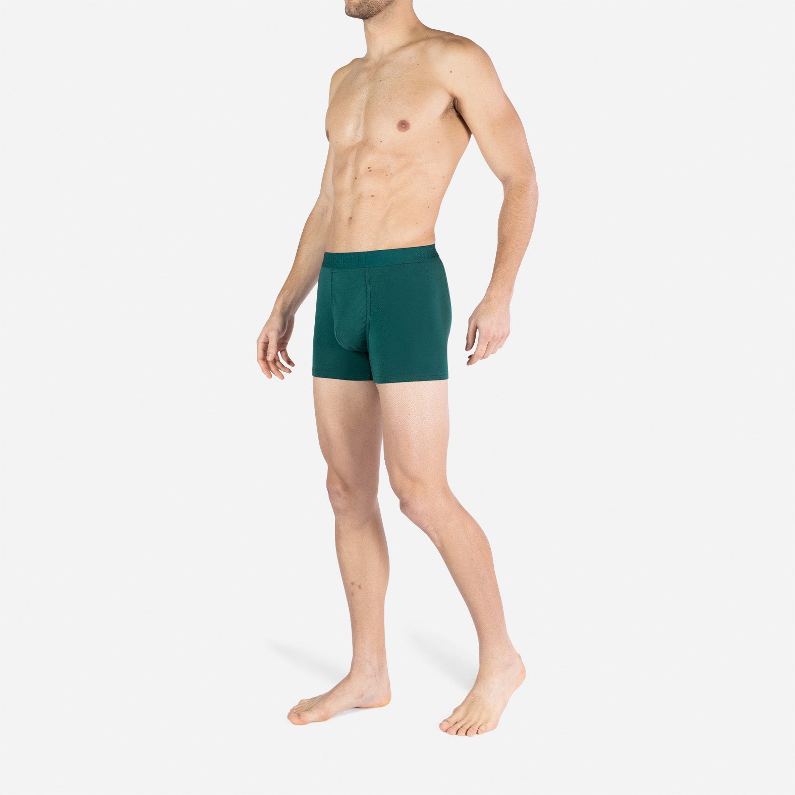 Classic Icon Trunk: Eucalyptus