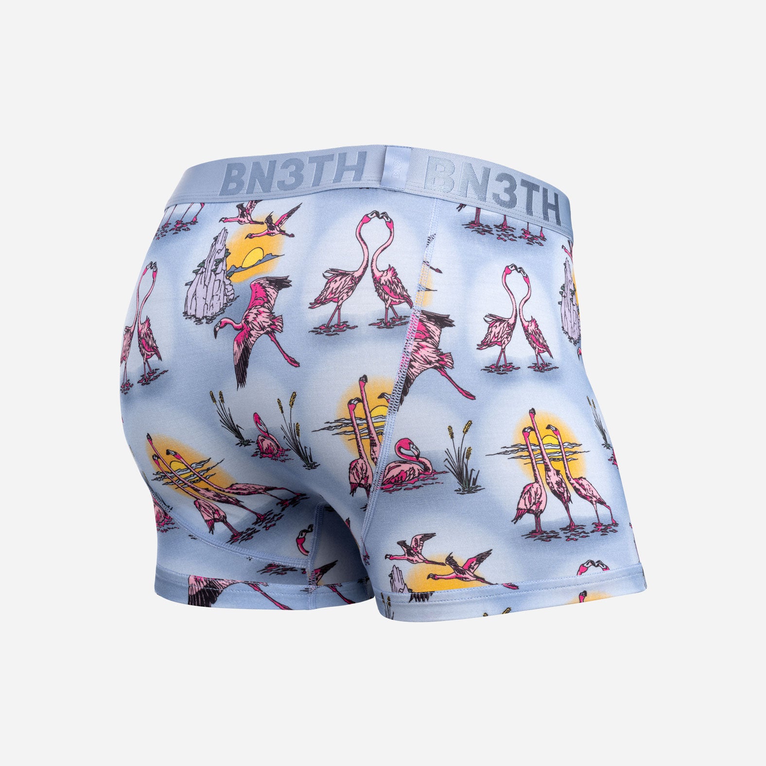 Classic Trunk Sunset Flock - Forever from BN3TH Underwear