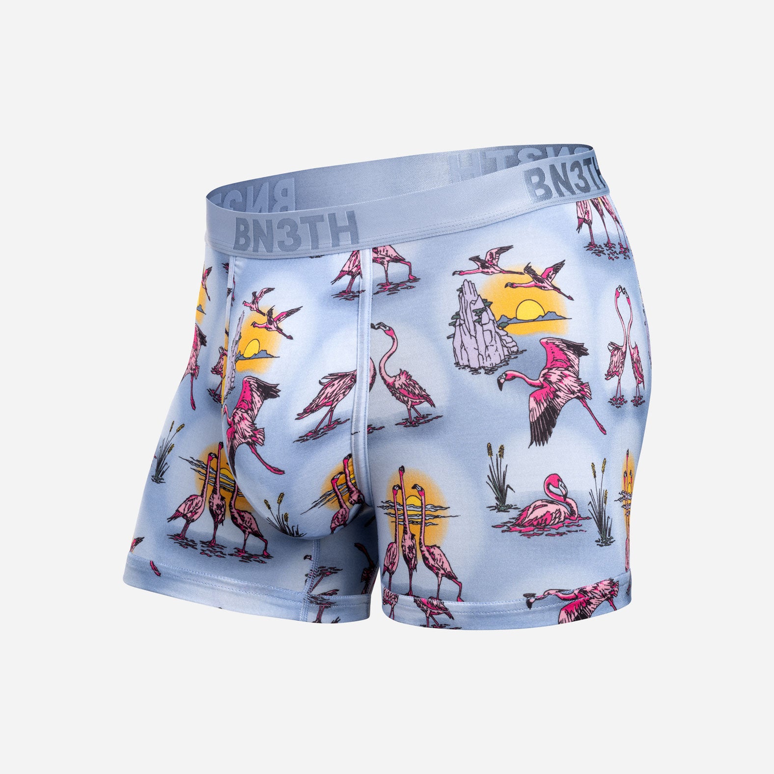 Classic Trunk Sunset Flock - Forever from BN3TH Underwear