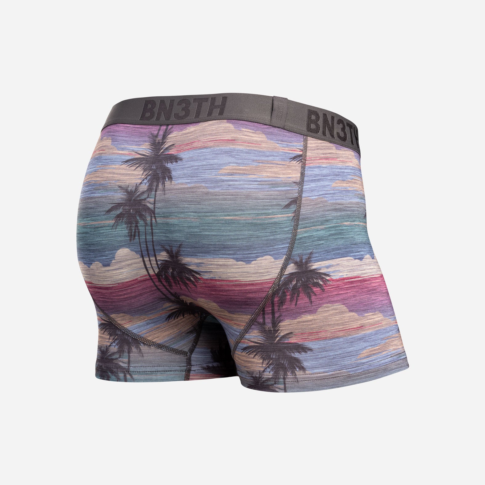 Classic Trunk With Fly Palm Tree Horizon - Heather from BN3TH Underwear
